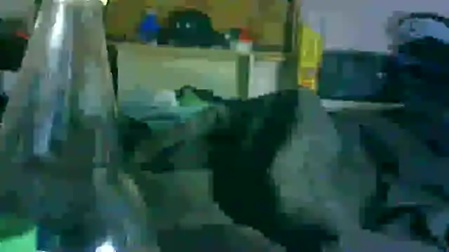 GUAPAN3S3_FIR3 webcam