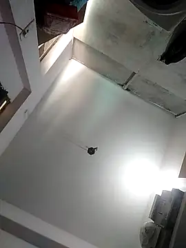 Stallion011 live sex cam