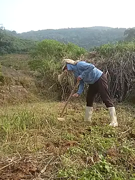 nangmo - Nangmo's free webcam - UK Sex Cams