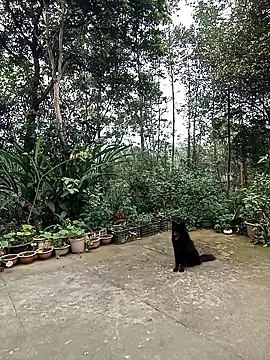 nuna_689 - Nuna_689's free webcam - UK Sex Cams