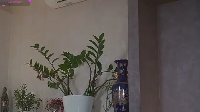 YvetteMilbrett live sex cam