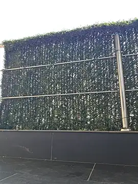 Webcam Model (Risky_woman)  is live.Free join now!