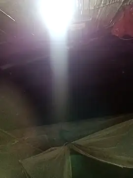 tina6886 - Tina6886's free webcam - UK Sex Cams