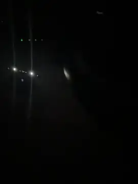 Desi_Canadian_bull webcam