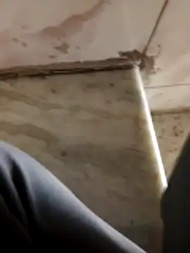 level80741_shurtis_friend