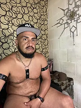 Preview of the_master_foal_