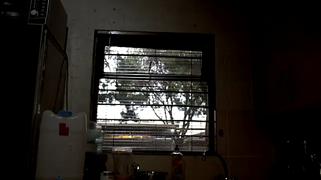 NewBeginnings8 webcam