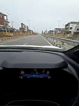 Preview of bull_1992