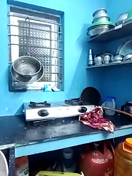 tamil_Vennila webcam