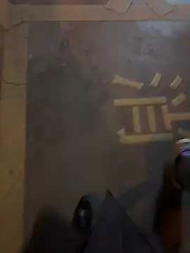 美女petoys在线直播