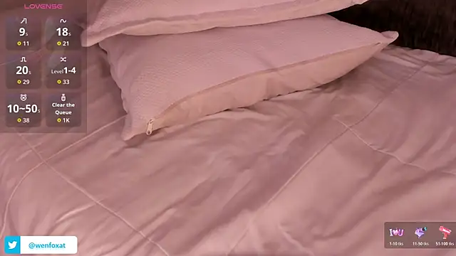 wenfox - WenFox's free webcam