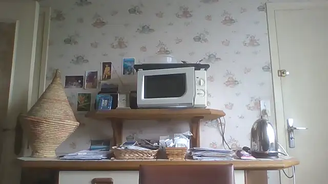 Preview of gegevincent5