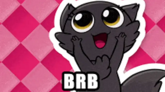 Genesis_Montenegro_OA webcam