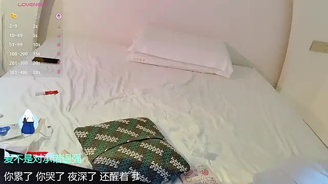 Vaidurya-Yolo webcam