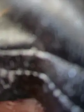 Natalia_vidal webcam