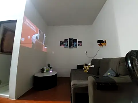 Preview of gasc_1992