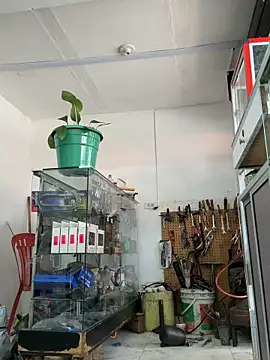 paul22cm- (Ask my age) - Hello baby