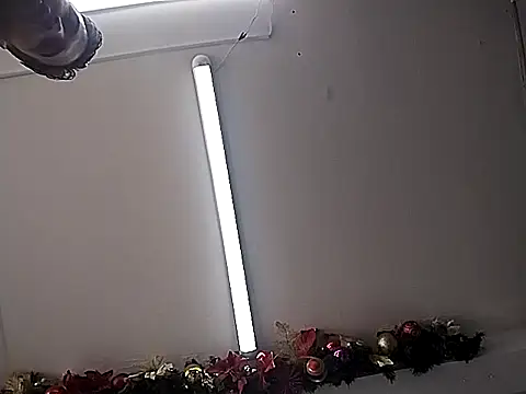 regina_23 - Regina_23's free webcam - UK Sex Cams