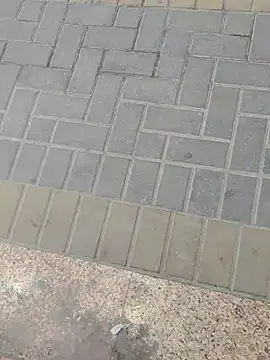 kannanu (M young) - Walking