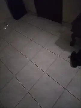 wildguy27 - Wildguy27's free webcam - UK Sex Cams