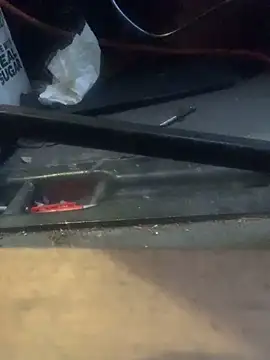 Likewise live sex cam