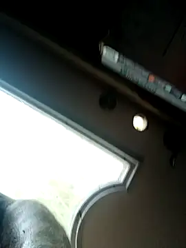 Preview of shawnanddani7074