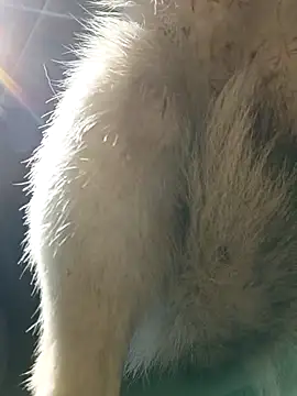 publicfun206xxx webcam