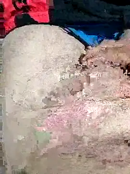 elsabandija696 - Elsabandija696's free webcam - UK Sex Cams