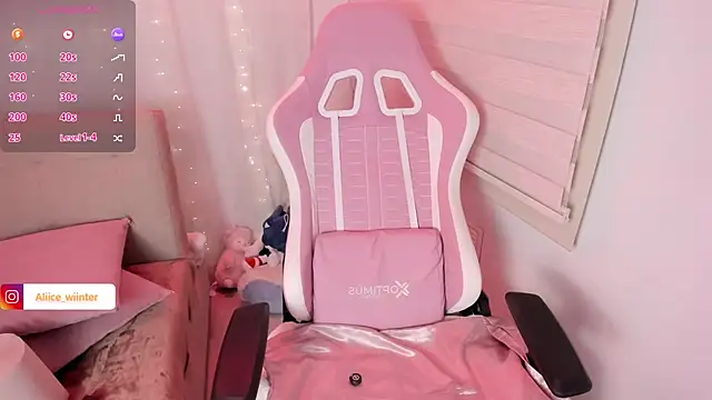 Alice_winter_ webcam