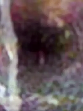 le-couple-en-chaleur_ (M twink) - J’éjacule sur les seins de ma copine