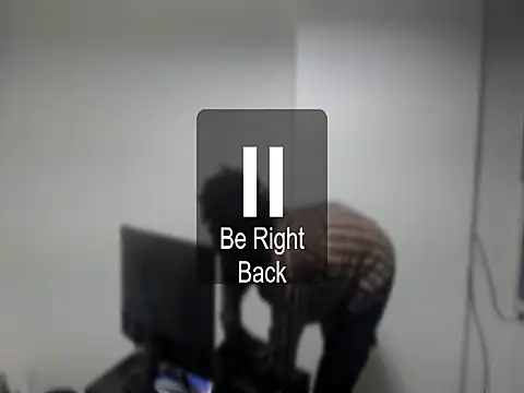 Mastertopdome webcam