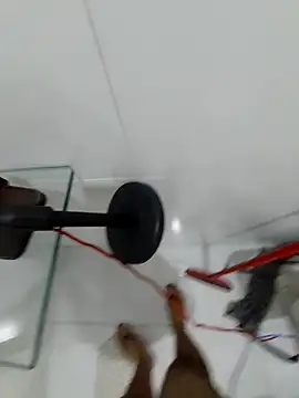 Gasc_1992 live sex cam