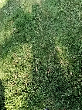 dolphiinn (M young) - 🦚 🐐 🦚 🐐 Outdoor Naked 🦚🐐🐐🦚🐐🐐✨