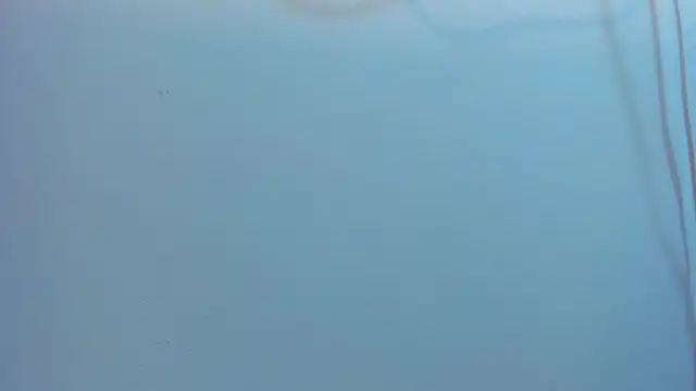 Jacob_Benelli live sex cam