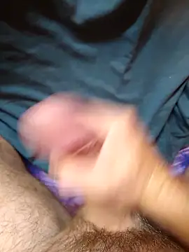 Preview of alvaro2017