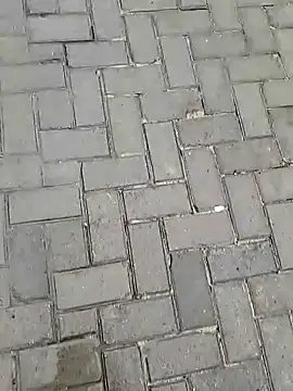 meow_buggie (M young) - flash penis to stranger