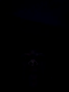 skinnyrox live sex cam