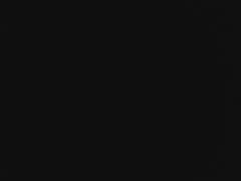 novilho18piroc webcam