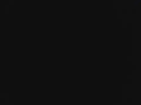 novilho18piroc webcam