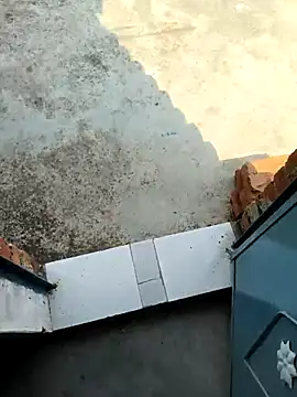 Desii_rockstarr webcam