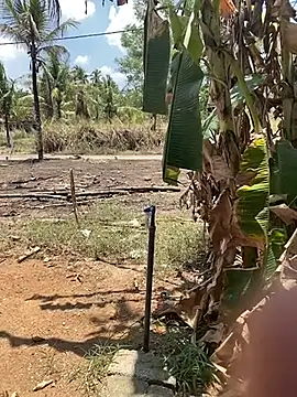 nudist chat  Cute Ariana 