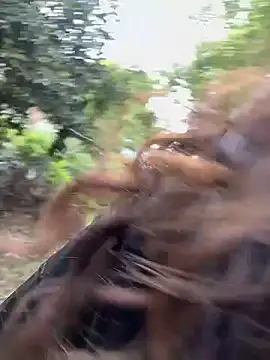 美女chick-888在线直播