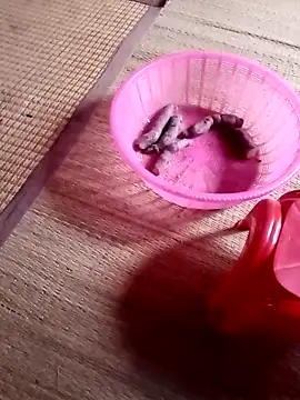 -matina- - -Matina-'s free webcam - UK Sex Cams