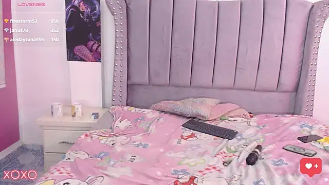 parys_merida02 webcam