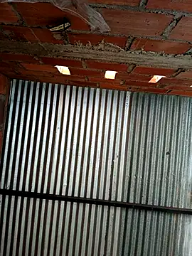 Webcam Model (young_dairy01)  is live.Free join now!