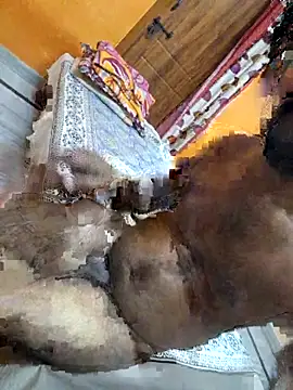 telugu_integer_hot (M young) - buy a car