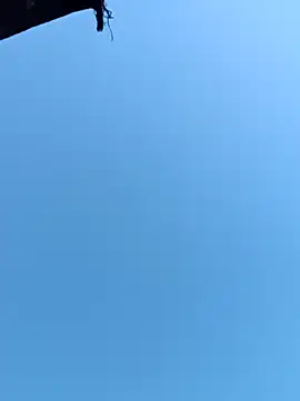 acetousabb (F young) - Let's get it