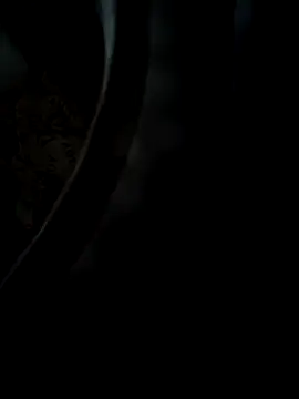 daisylouis - Daisylouis's free webcam - UK Sex Cams