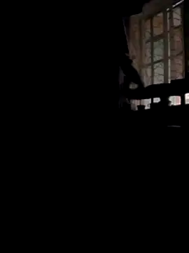 Live sex cam of Brian_johns