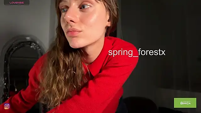 spring_forest